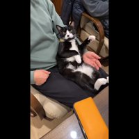 こちらを向いた姿