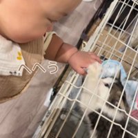 笑い声をあげる赤ちゃん