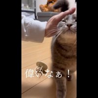 偉いなぁ！