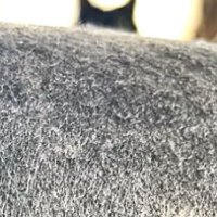 ドーム型ベッドの上から見える猫の耳