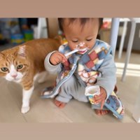 子どもの後ろに立つ猫