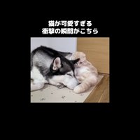 腰を下ろす姿