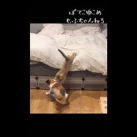 ベッドからダイブ