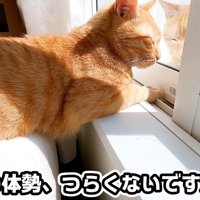 つらくないですか？