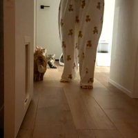 足元をウロウロ