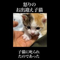 登ってくる姿