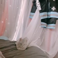 狙いを定める子猫