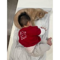 寝ている赤ちゃんと猫
