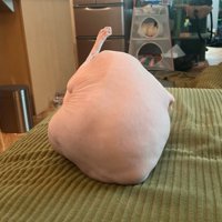 背中を丸めてうずくまる猫の背中