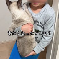 猫を抱っこする男の子