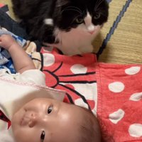 赤ちゃんの隣で周囲を見回す猫