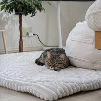 飼い主に気づいて目を開けるミヌエット