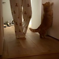 掴まり立ち