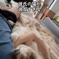 寝転んでいる人と猫