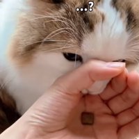 不思議そうな表情