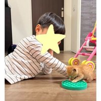 猫と男の子