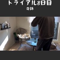 椅子の上で寝ている2匹の猫とそれを撮影している人