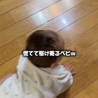 フローリングの上をハイハイしている赤ちゃん