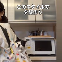 ショッピングバッグで夕飯作り