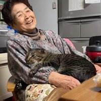 おばあちゃんと猫