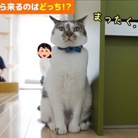 まったく…