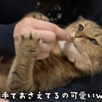 おやつを食べるみにらくん