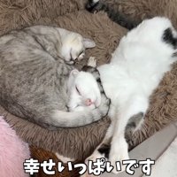 幸せいっぱいです