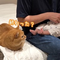 終わった？