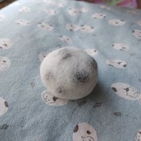 丸い白いもの