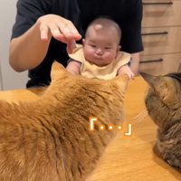 「…」