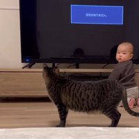 テレビの前にいるふたり