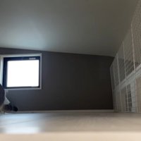 身を低くして狙う姿