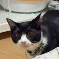近寄る