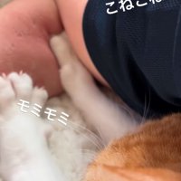両前足でコネコネする猫2