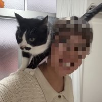 肩の上のくろまめちゃん