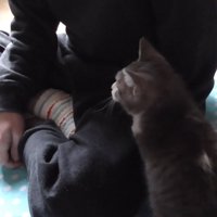 座った後ろ姿