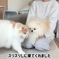 スリスリしに来てくれました