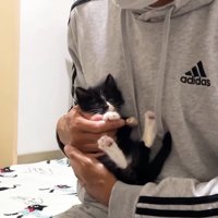 抱っこ