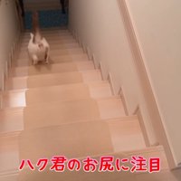 お尻に注目