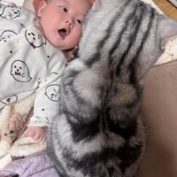 赤ちゃんを見下ろす猫