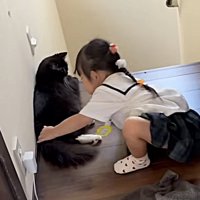寝ころぶ猫に近づく妹