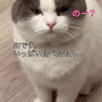 「のー？」と書かれている