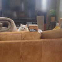 息子さんだとわかったシロちゃん