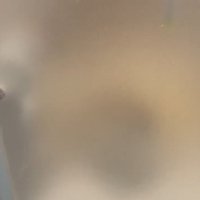 すりガラスの扉越しに前足をかけて立ち上がる猫