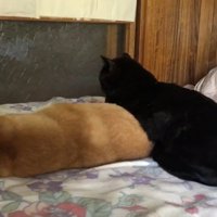 ふたりの後ろ姿