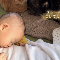 「知らぬ間に...」のテロップ写真2