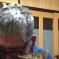 抱かれている猫