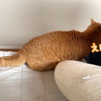 えいっ