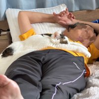 お母さんの上で眠る猫