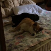 少し離れて